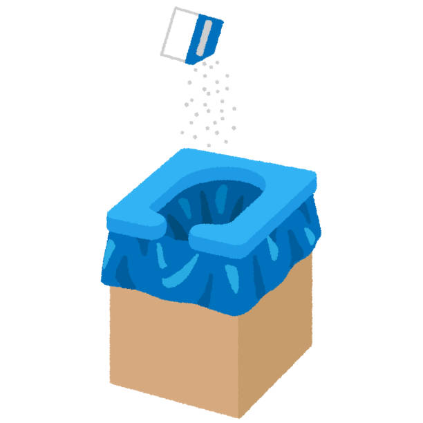 Portable Toilet Options We Offer in Puyallup, WA